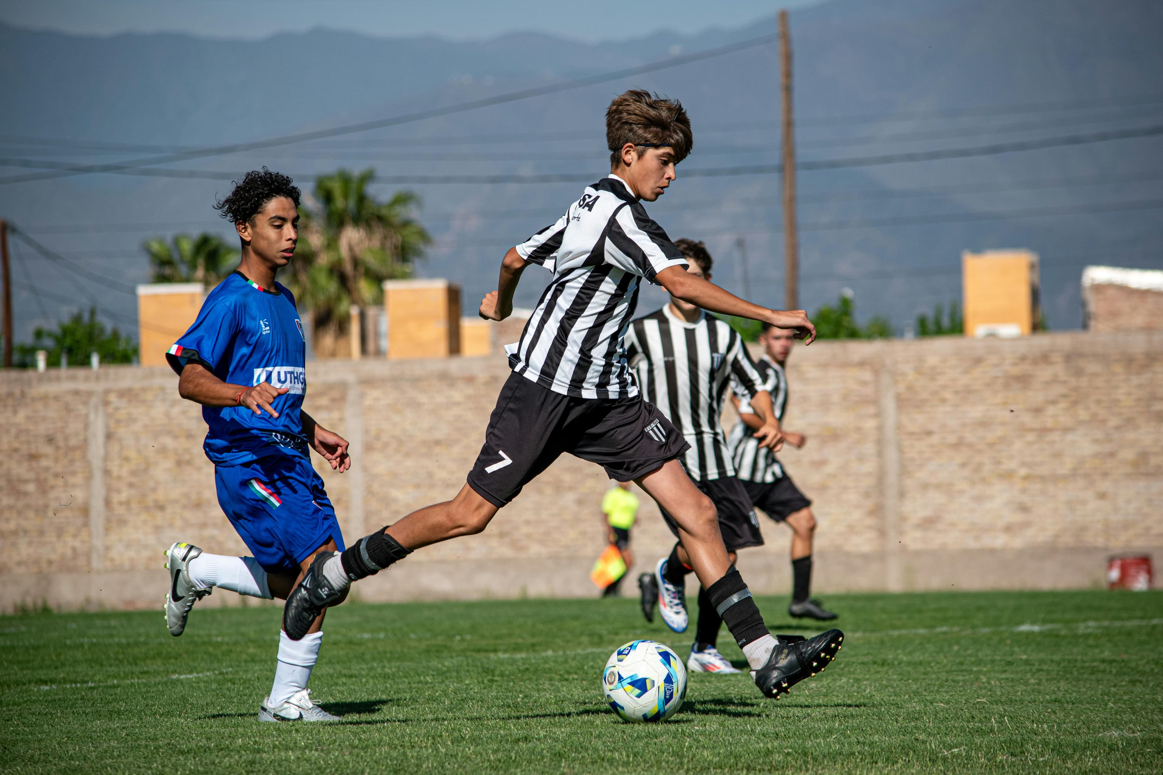 Player profiles